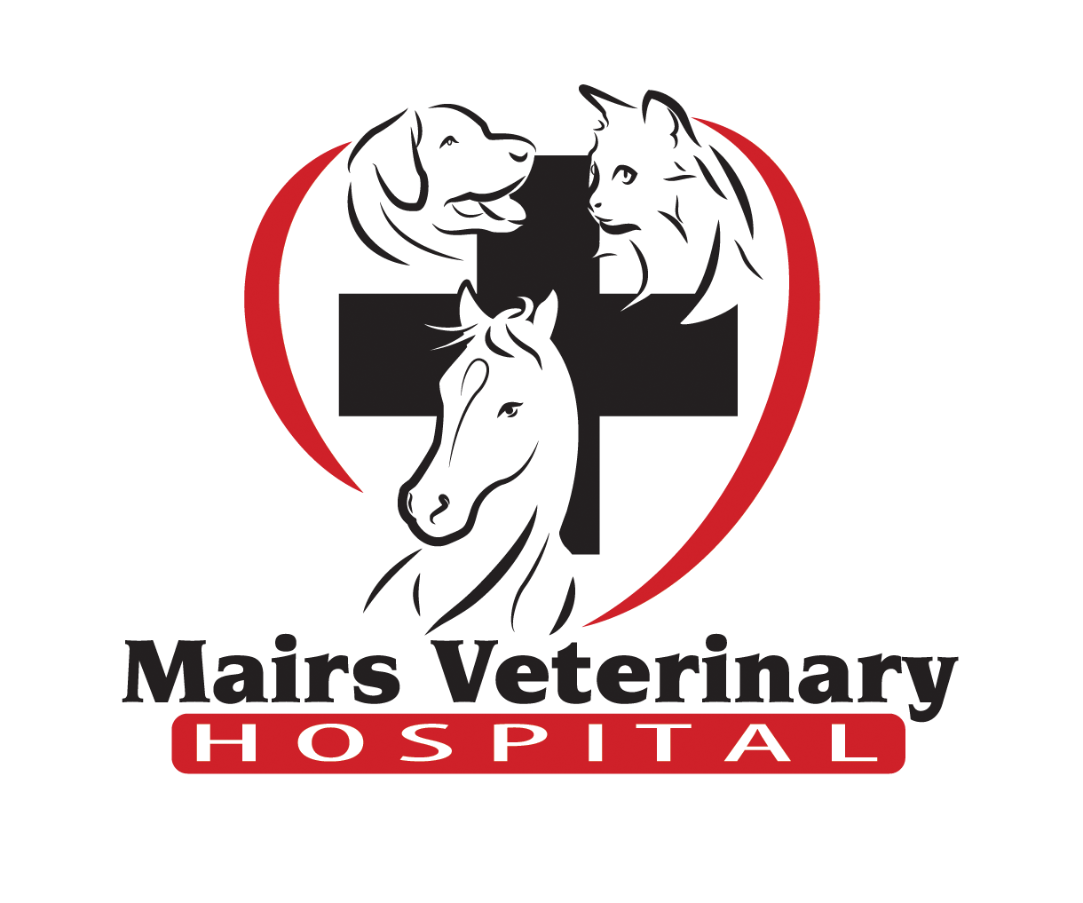Mairs Veterinary Hospital - Veterinarian in Wooster, OH US :: Services
